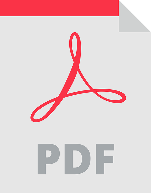 PDF-Icon